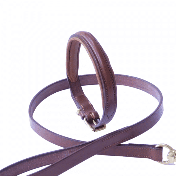 ESB Hazel raised leather dog collar and lead (20mm)