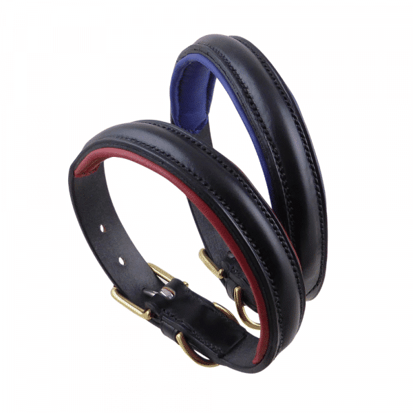 ESB Black raised leather dog collars with red and royal blue padded linings