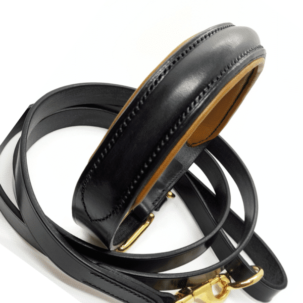 ESB Leather Black and Tan Raised collar (32mm) with matching black Classic lead (25mm)