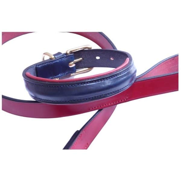 ESB Navy and Red Raised leather dog collar with Red classic lead