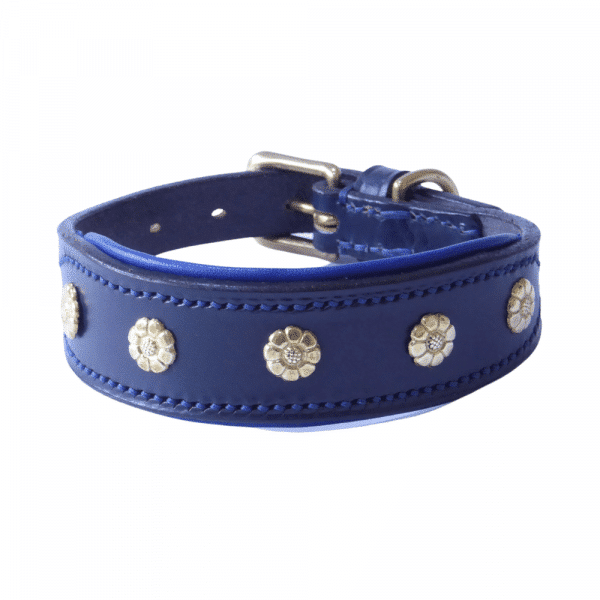 ESB Leather Daisy sight-hound collar (32mm) in Navy and brass