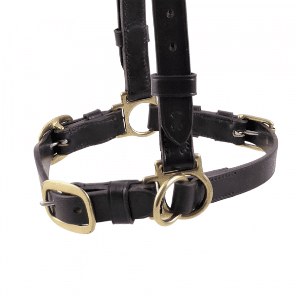 ESB Leather Buckled Bull show halter in Havana with slip jaw-strap