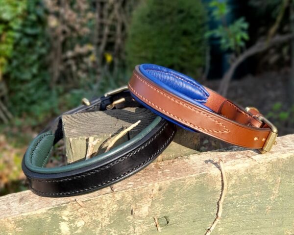 Classic padded collars Black and dark green, Hazel and blue