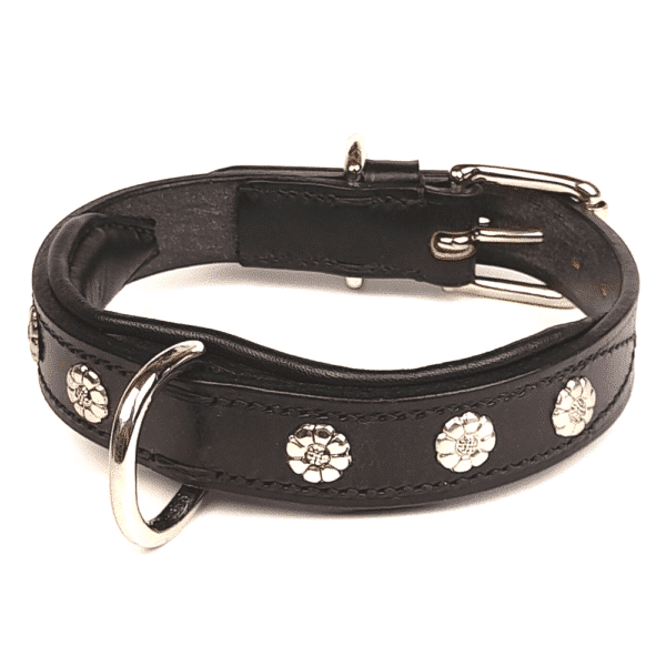 ESB Leather Daisy collar, 25mm in Black with nickel fittings and optional centre dee ring