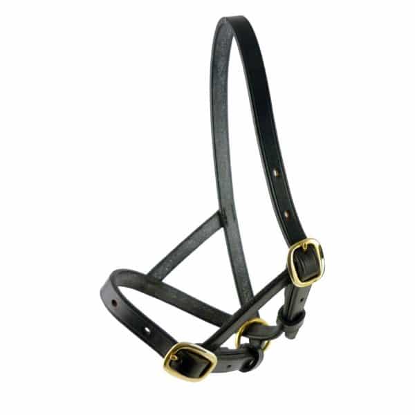 ESB Leather Figure of 8 Sheep halter in black with brass oval swage buckles