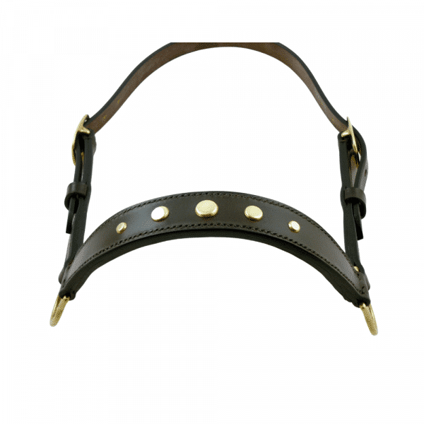 ESB Leather Decorated Cattle halter in Havana- Circles
