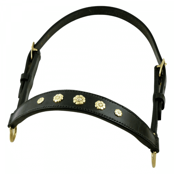 ESB Leather decorated Cattle halter - Daisies