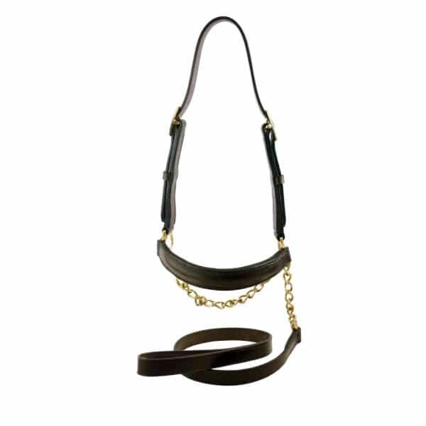 ESB Leather Raised cattle halter with matching lead and chain, in Havana