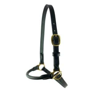 ESB Leather Slip Sheep halter in black with rolled noseband