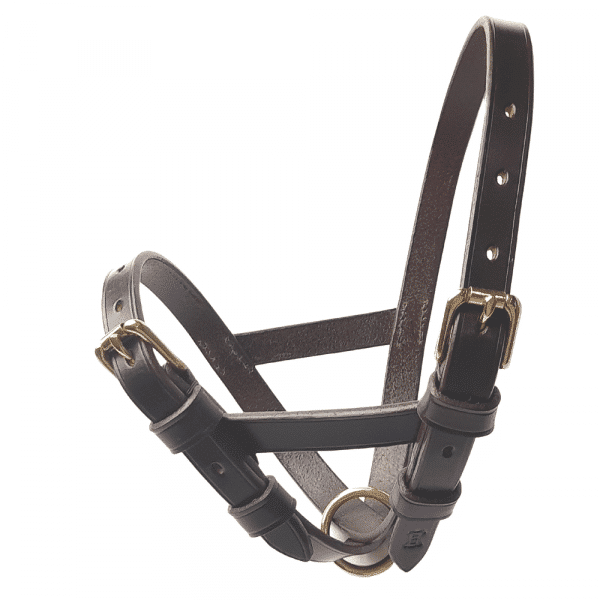 ESB Leather Figure of 8 sheep halter with roller buckles