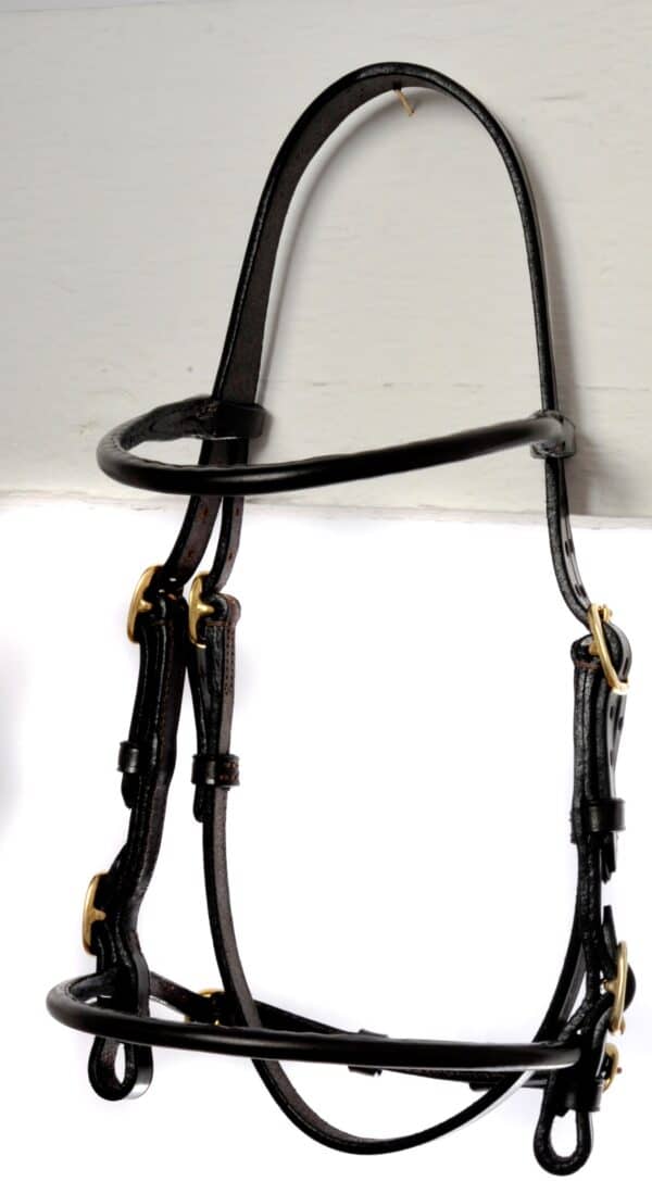 ESB Leather part rolled in-hand show bridle