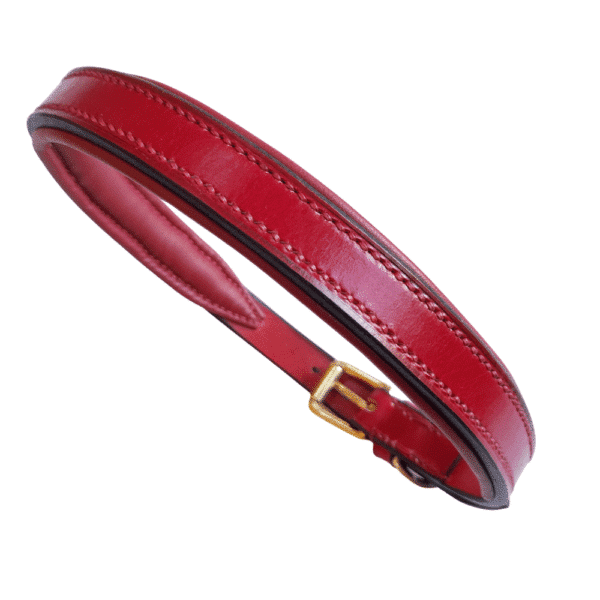 ESB Leather Classic padded dog collar in Red (20mm) with matching red lining