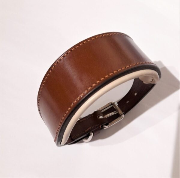 Classic Padded Leather Sight-Hound Collar - handmade by ESB Leather
